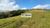 Chácara, 3 hectares - Foto 4