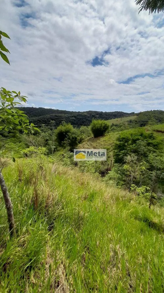 Sítio, 3 hectares - Foto 9