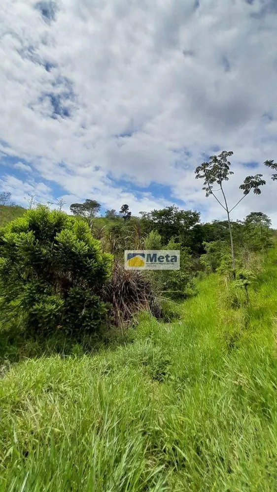 Sítio, 3 hectares - Foto 8
