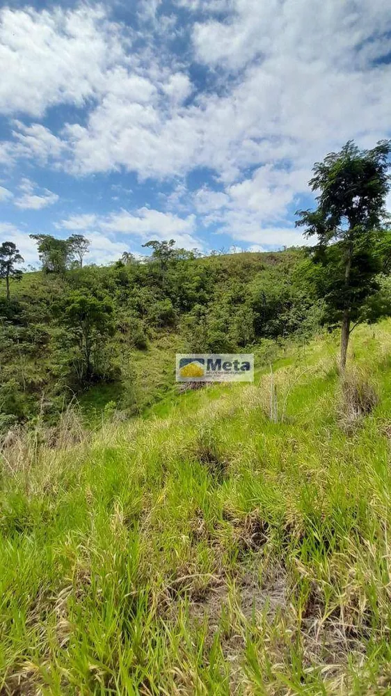 Sítio, 3 hectares - Foto 10