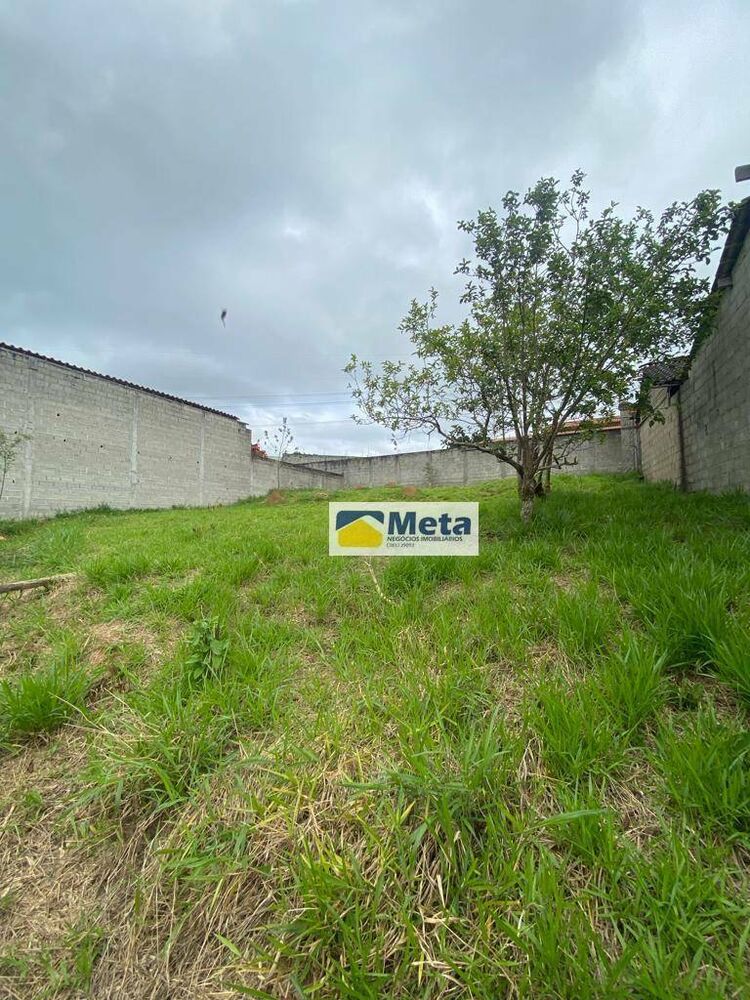 Chácara, 4 quartos, 1580 m² - Foto 8