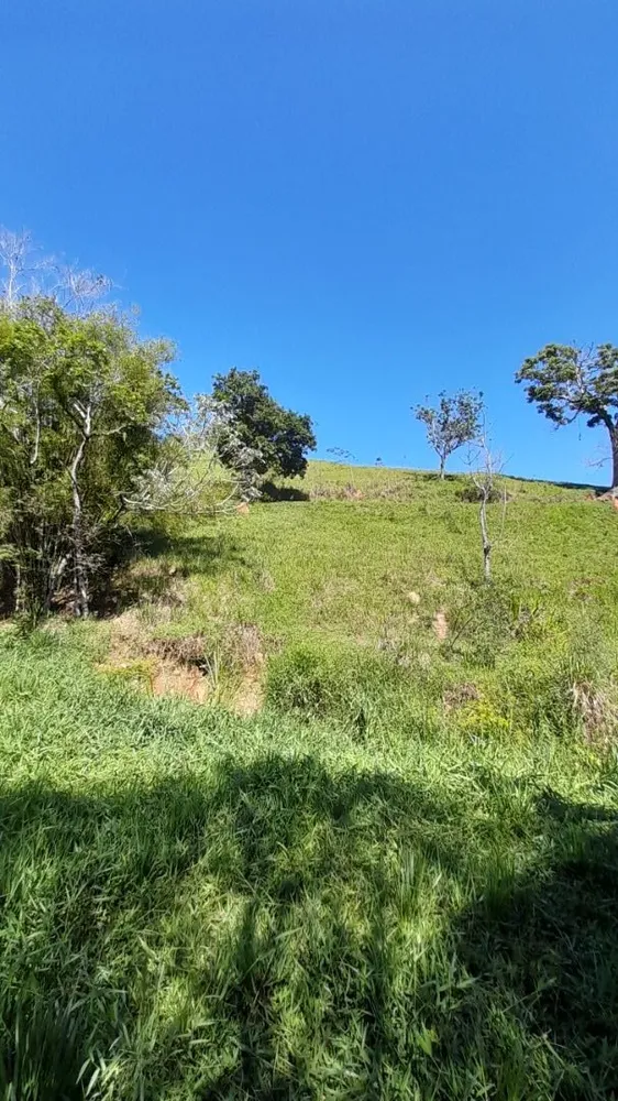 Sítio, 5 quartos, 9 hectares - Foto 16