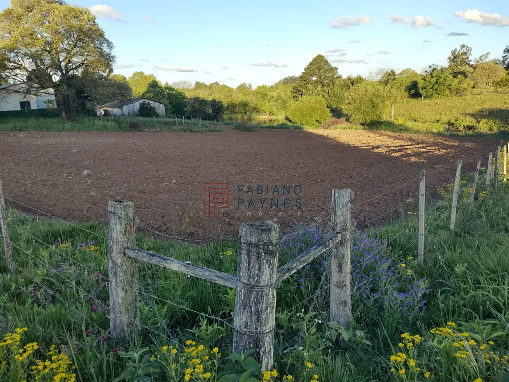 Terreno, 1000 m² - Foto 2