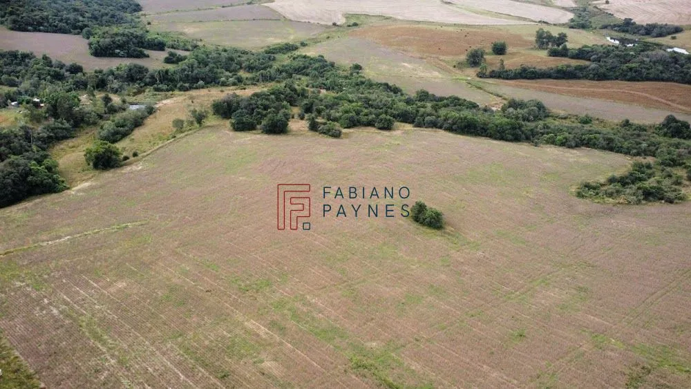 Chácara, 30 hectares - Foto 1