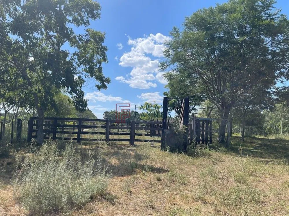 Fazenda, 45 hectares - Foto 4