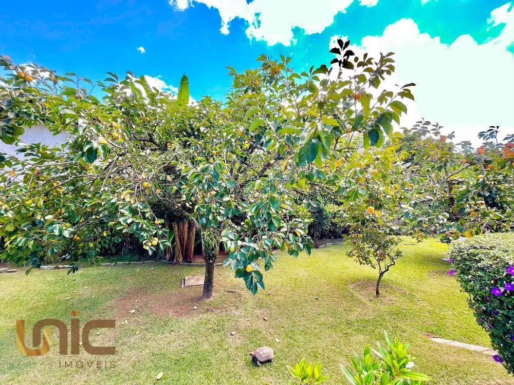 Casa, 5 quartos, 576 m² - Foto 69