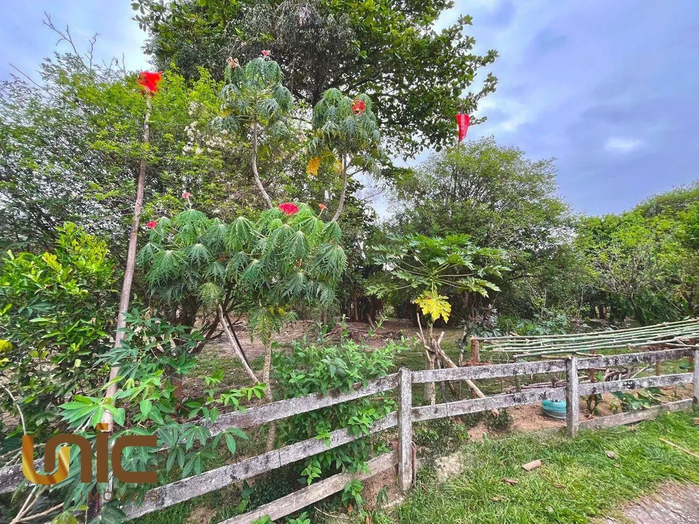 Sítio, 3 quartos, 3 hectares - Foto 3