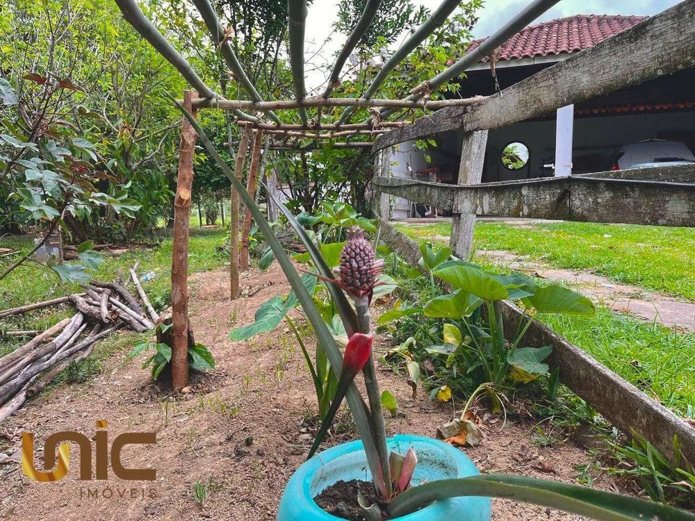Sítio, 3 quartos, 3 hectares - Foto 44