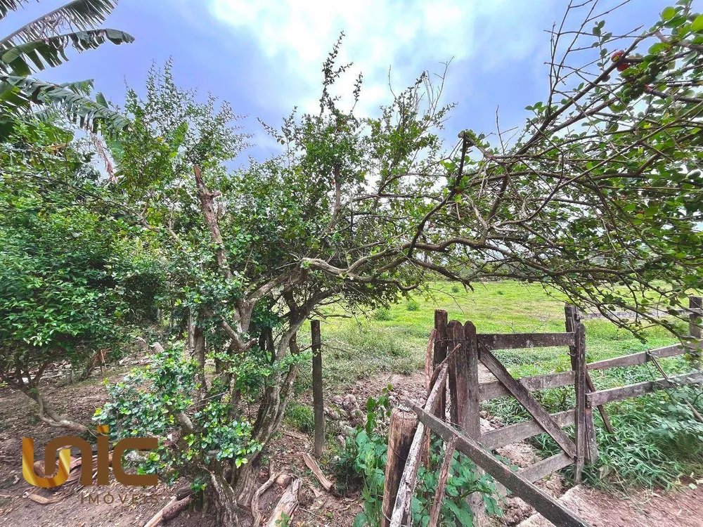 Sítio, 3 quartos, 3 hectares - Foto 29