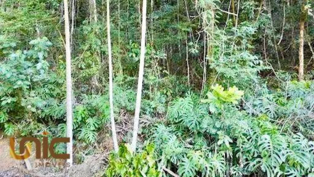 Loteamento e Condomínio, 6150 m² - Foto 15
