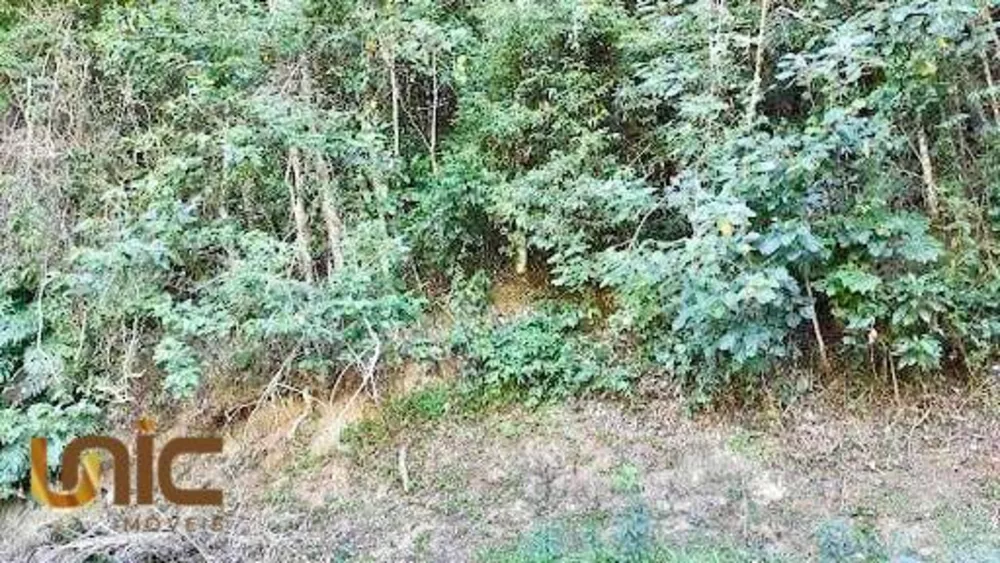 Loteamento e Condomínio, 6150 m² - Foto 13