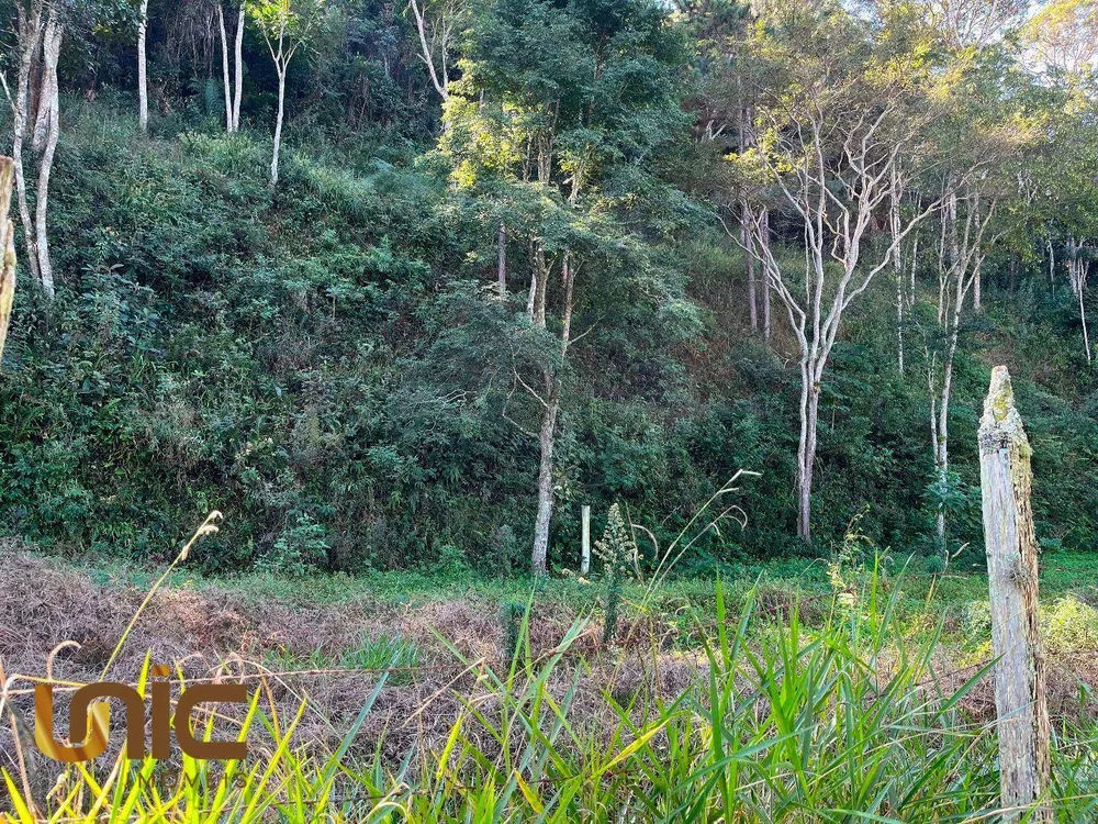 Terreno, 2 hectares - Foto 2