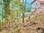 Terreno, 585 m² - Foto 1