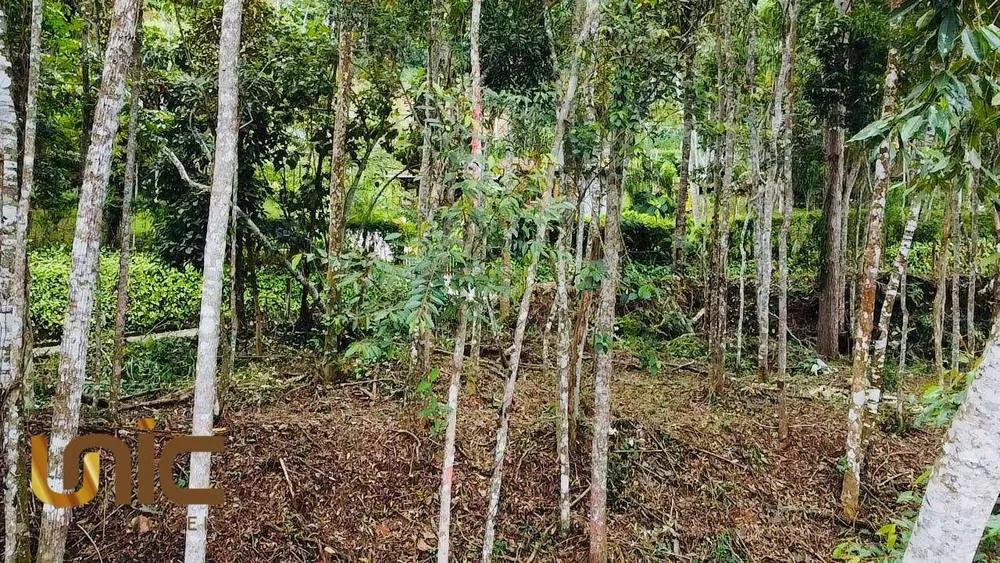 Loteamento e Condomínio, 1500 m² - Foto 2