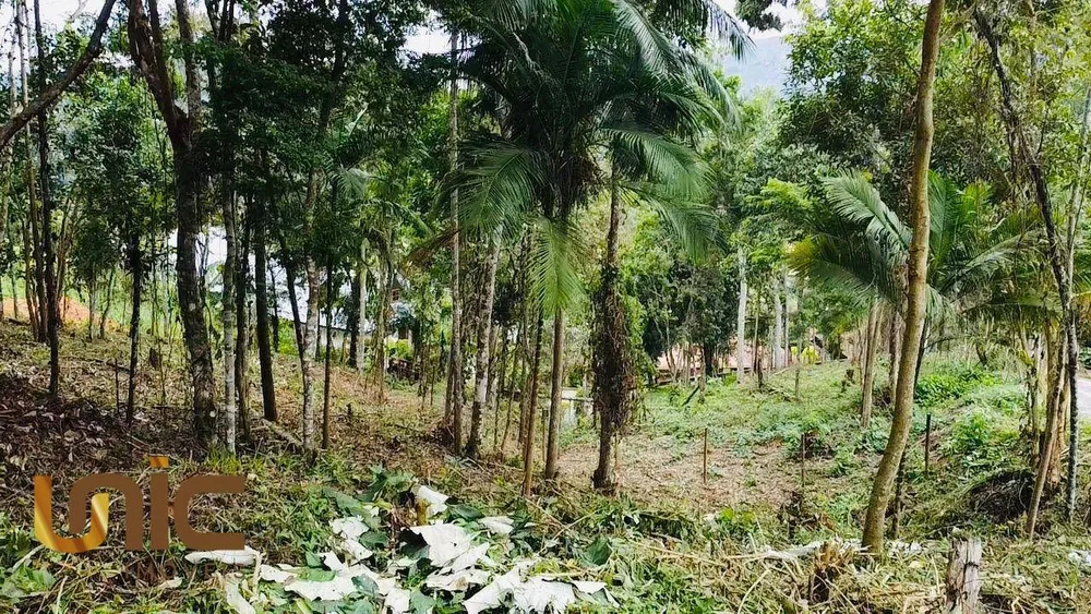 Loteamento e Condomínio, 1500 m² - Foto 4
