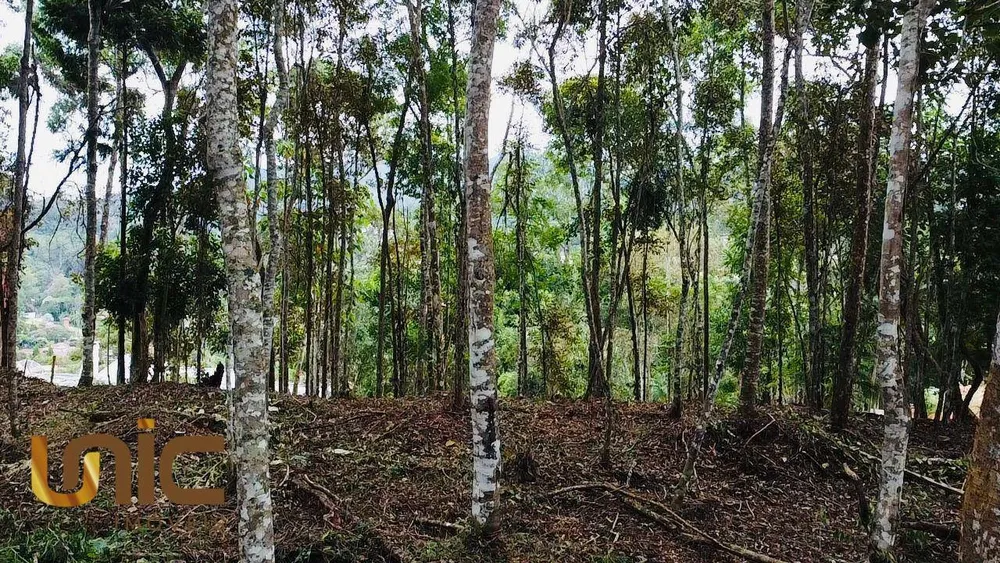Loteamento e Condomínio, 1500 m² - Foto 6
