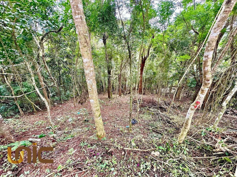 Terreno, 1560 m² - Foto 3