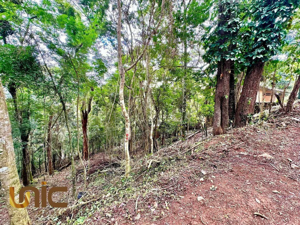 Terreno, 1560 m² - Foto 2