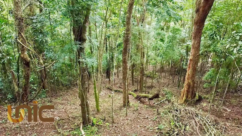 Terreno, 1560 m² - Foto 4