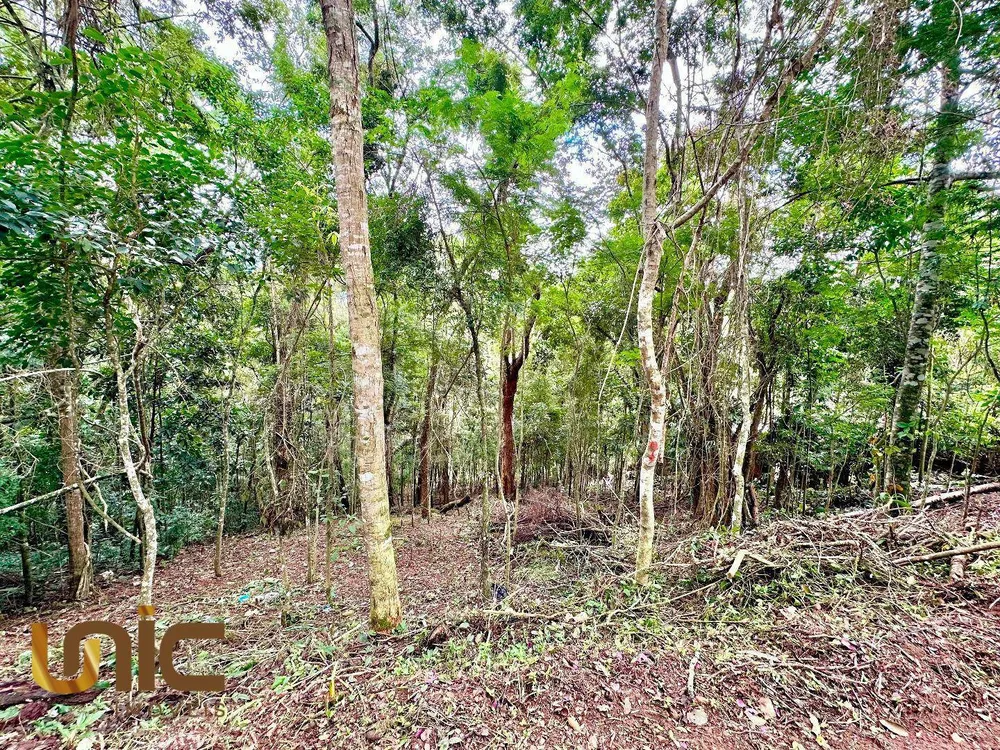 Terreno, 1560 m² - Foto 1