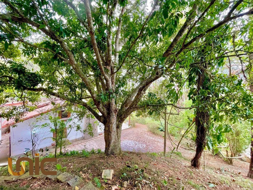 Casa, 3 quartos, 399 m² - Foto 51