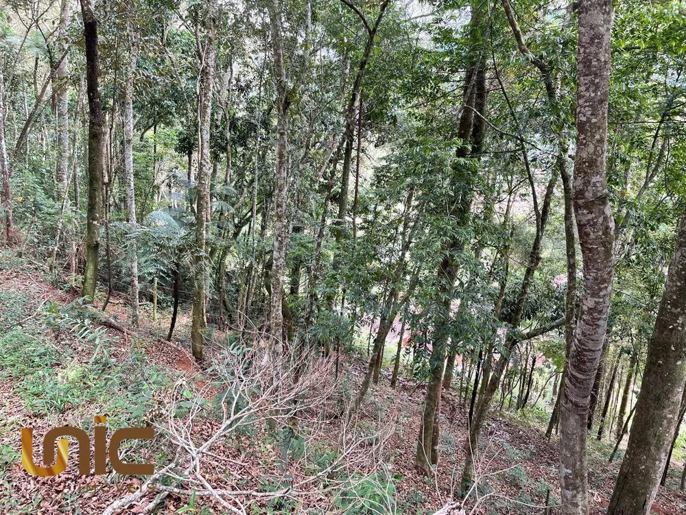 Loteamento e Condomínio, 1296 m² - Foto 5
