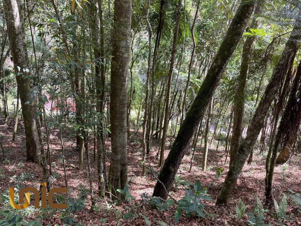 Loteamento e Condomínio, 1296 m² - Foto 6