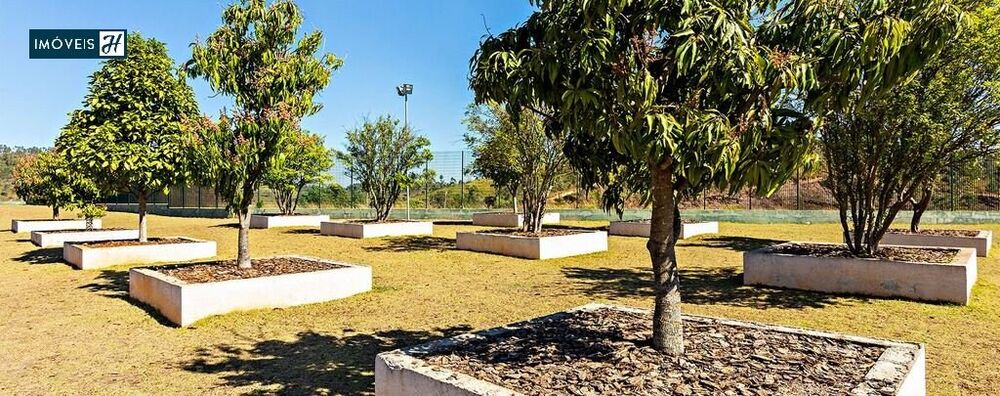 Apartamento, 3 quartos, 76 m² - Foto 4