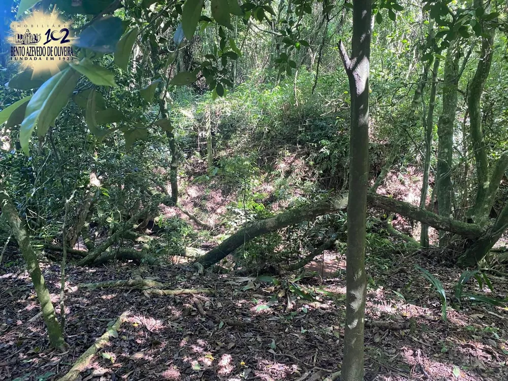 Terreno, 9750 m² - Foto 5