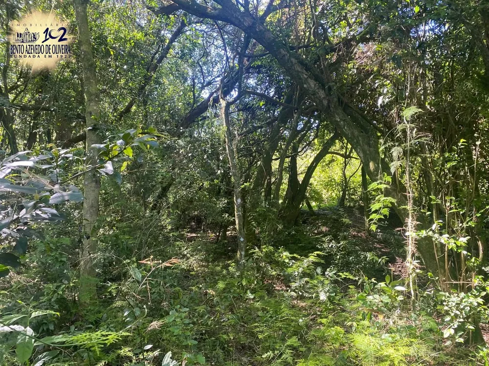 Terreno, 9750 m² - Foto 6