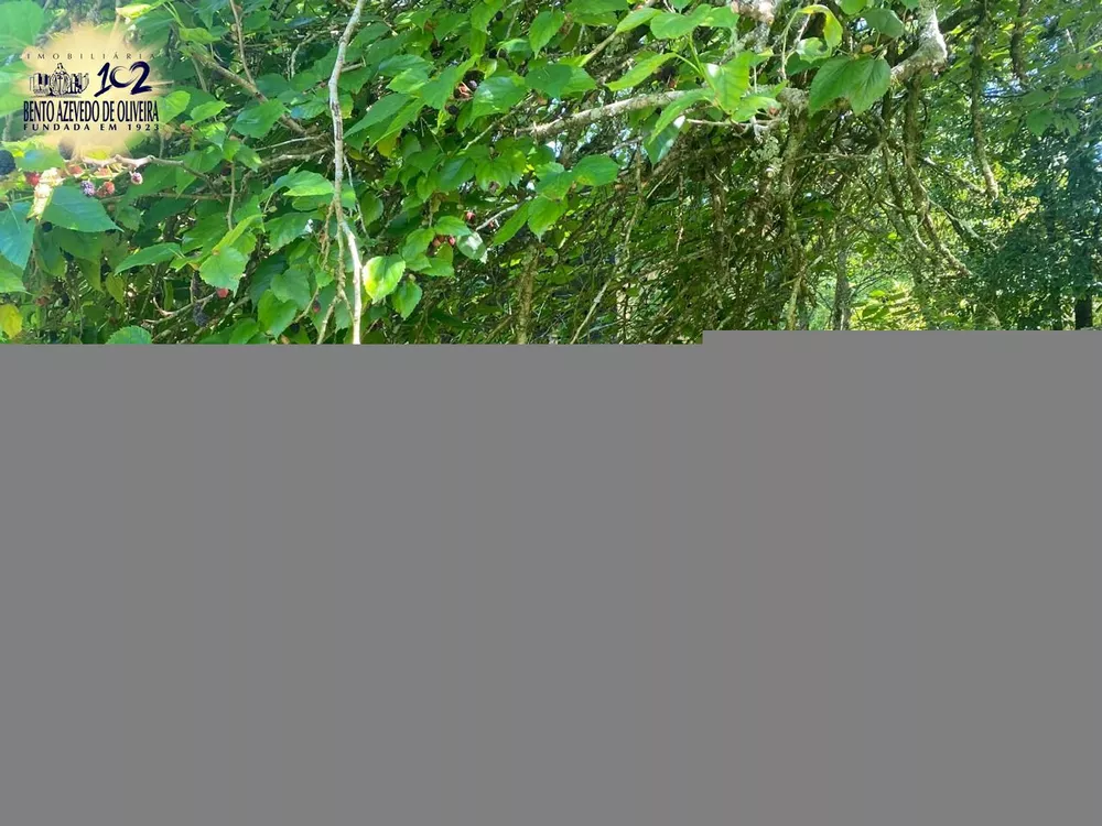 Terreno, 9750 m² - Foto 3