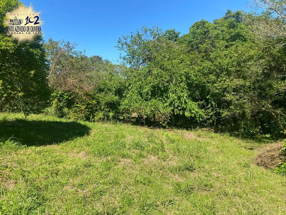 Terreno, 9750 m² - Foto 4