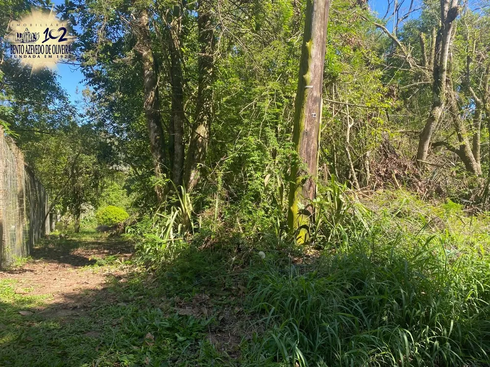 Terreno, 9750 m² - Foto 7