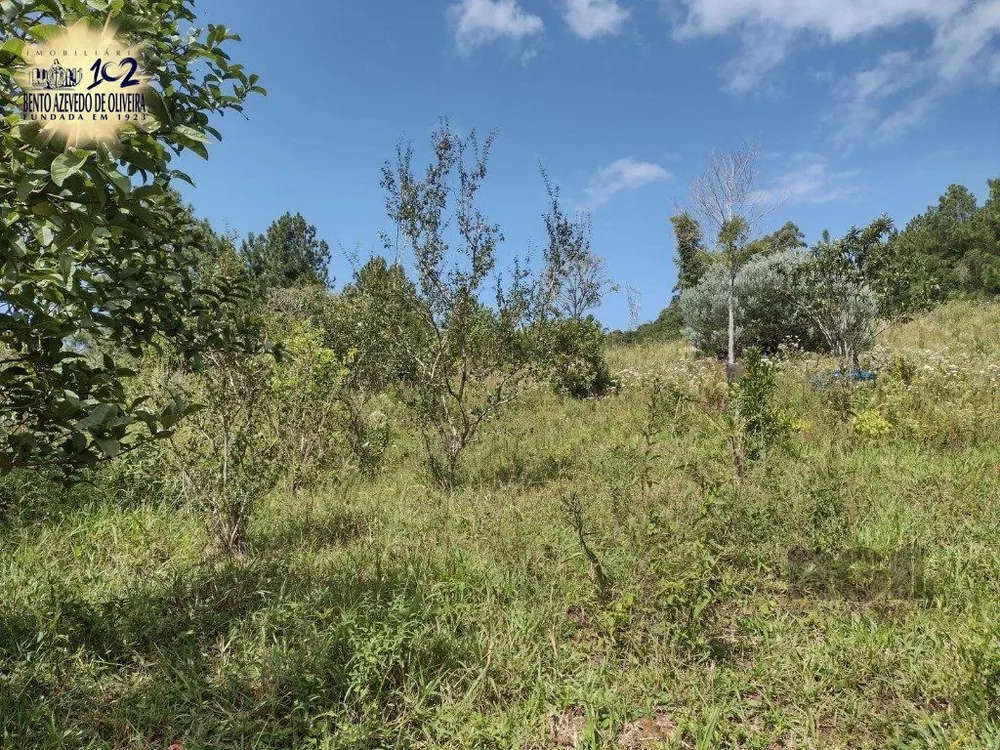 Chácara, 1 quarto, 1 hectares - Foto 8