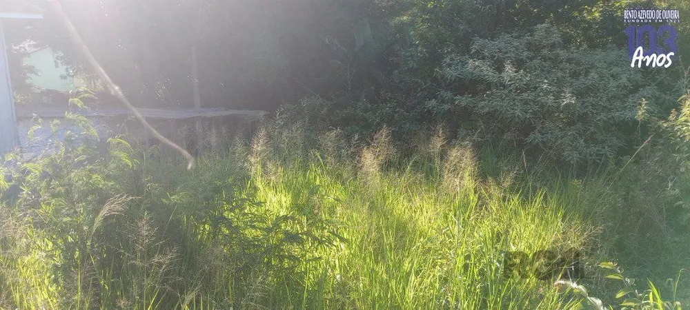 Terreno, 653 m² - Foto 8