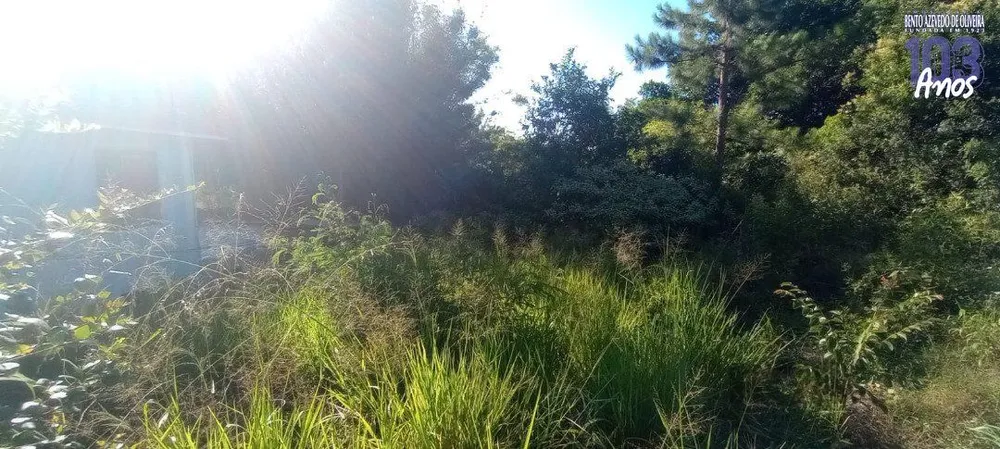 Terreno, 653 m² - Foto 3