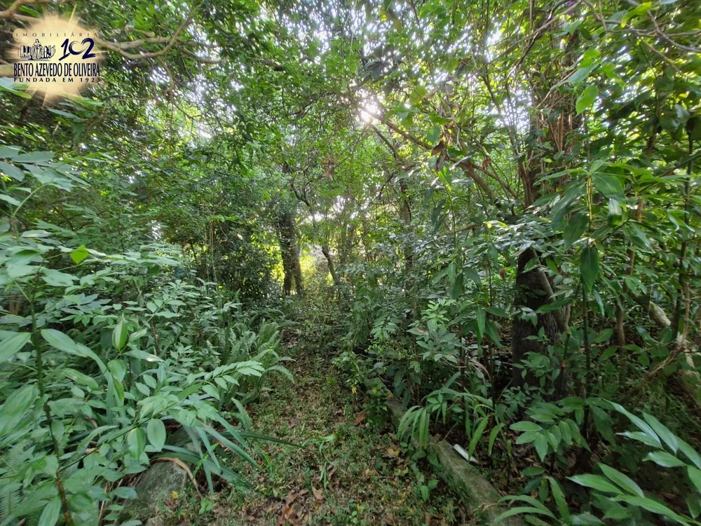 Terreno, 1463 m² - Foto 4