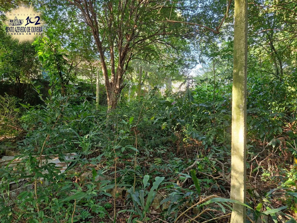 Terreno, 1463 m² - Foto 7