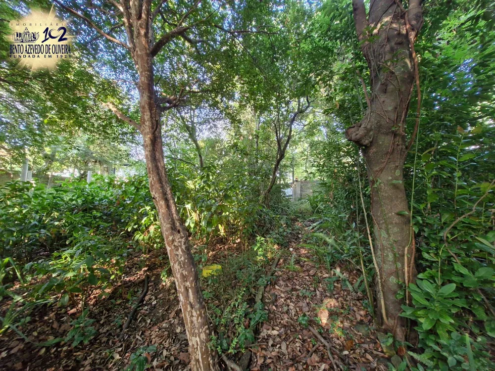 Terreno, 1463 m² - Foto 3