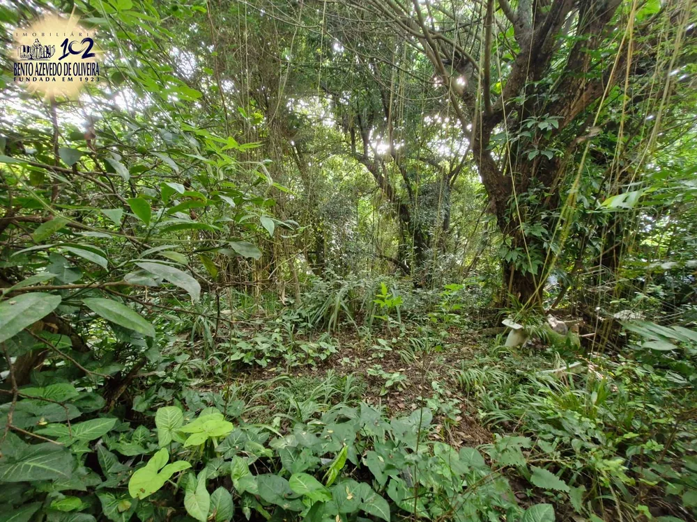 Terreno, 1463 m² - Foto 6