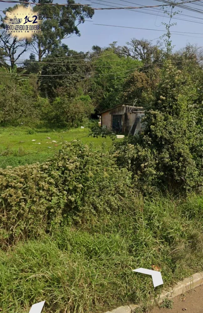Terreno, 4 hectares - Foto 3