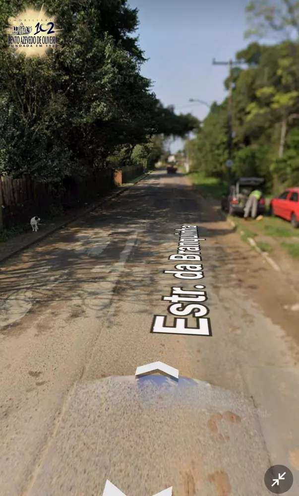 Terreno, 4 hectares - Foto 4