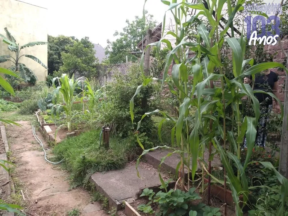 Terreno, 404 m² - Foto 6