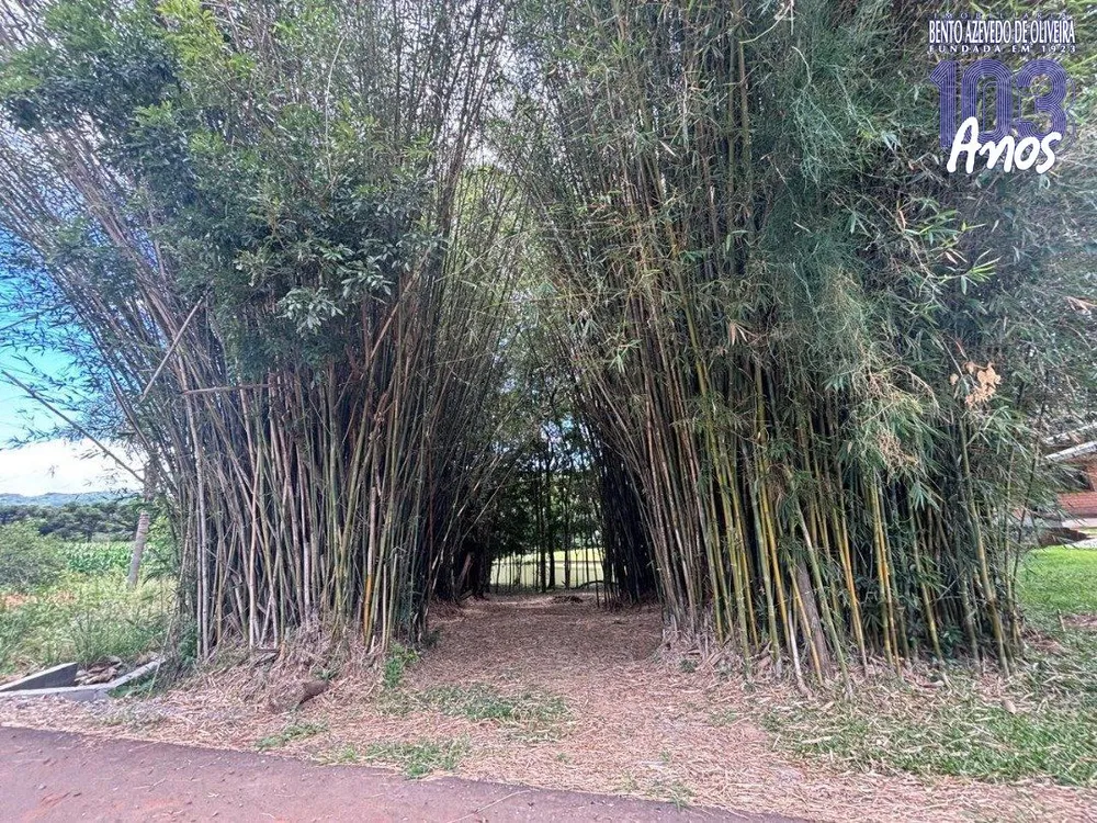 Chácara, 6 quartos, 5000 m² - Foto 1