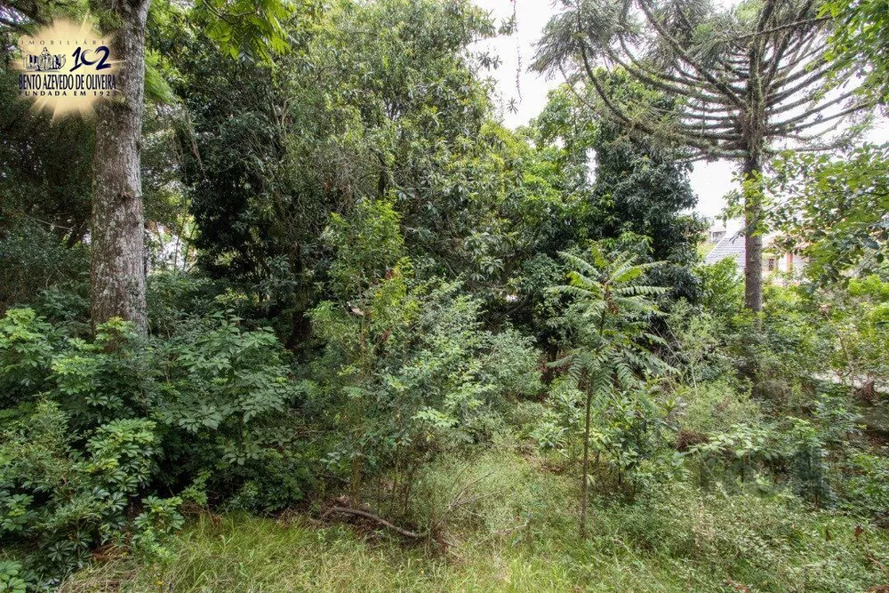 Terreno, 364 m² - Foto 6