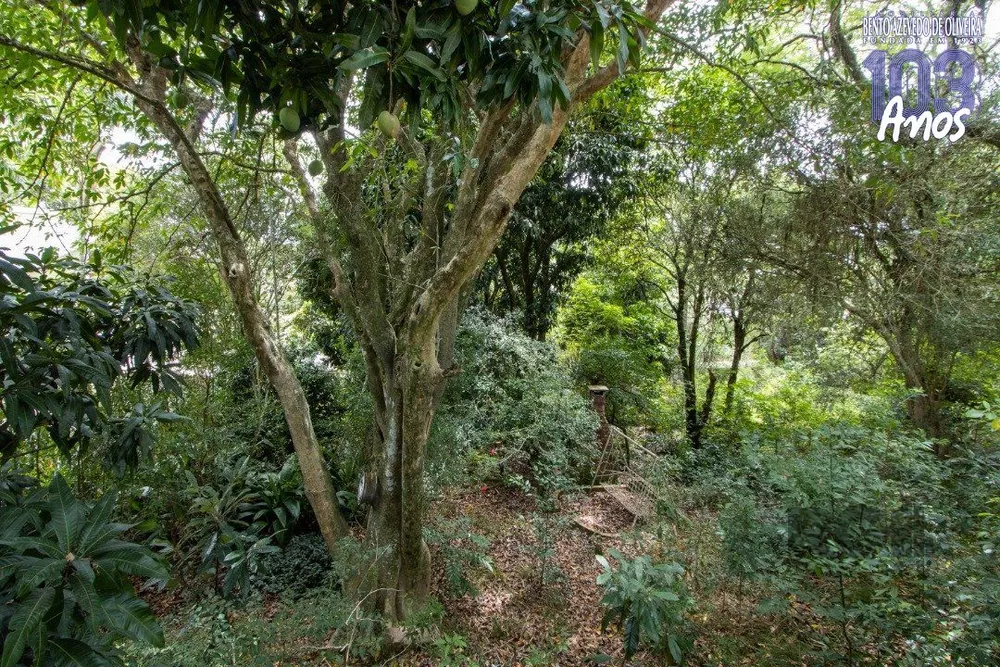 Terreno, 364 m² - Foto 12