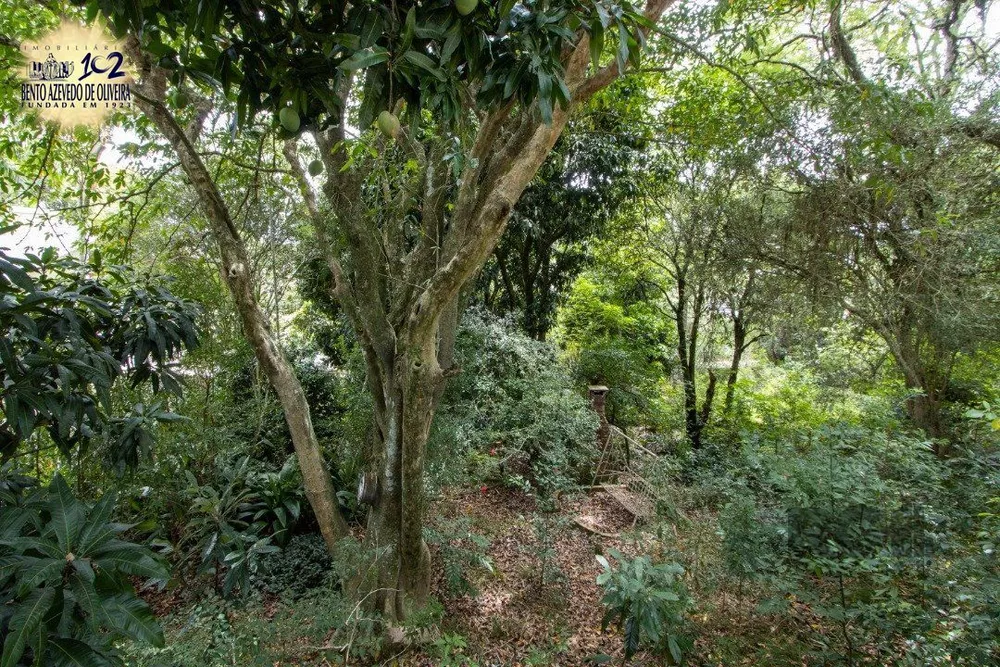 Terreno, 364 m² - Foto 4