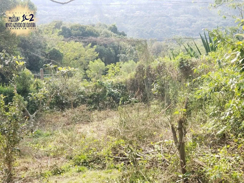 Terreno, 2003 m² - Foto 3