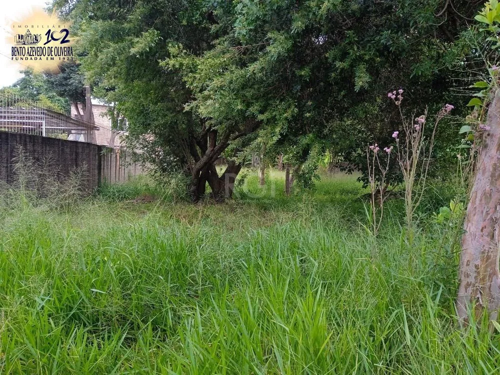 Terreno, 368 m² - Foto 4