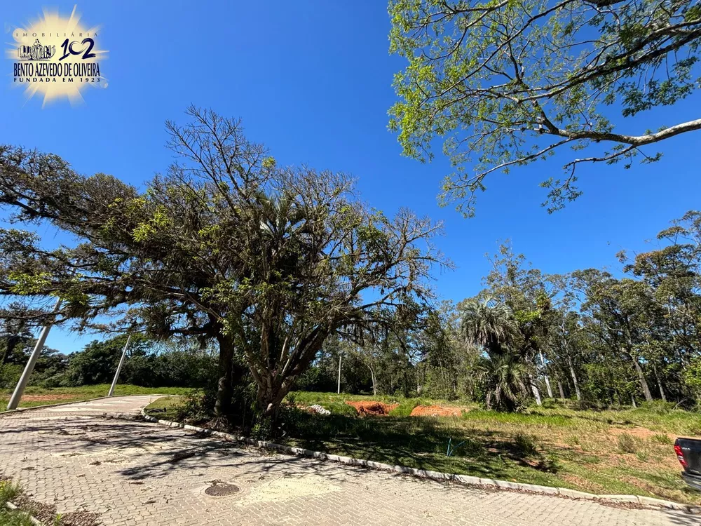 Terreno, 476 m² - Foto 4